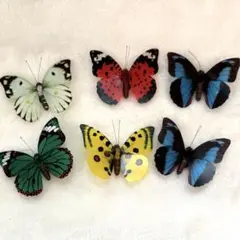 バタフライマグネット 6個セット