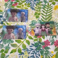 ハンターハンター ゴン キルア アルカ イタジャガカード 3点セット