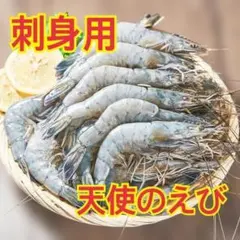 ネット最安値！お試し価格【刺身用】天使のえび 1kg 30〜40尾のサムネイル