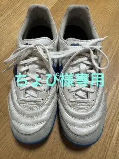 サッカートレシュー