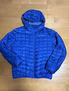 ユニクロ ブルーダウン L