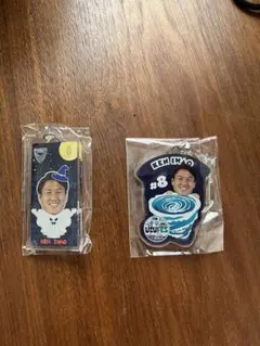 徳島ヴォルティス　8.岩尾憲