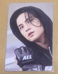 SEVENTEEN セブチ ミンギュ FML トレカ HMV