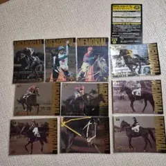 ダイイチルビー　メモリアル　サラブレッドカード　トレーディングカード 2025年最新】サラブレッドカード96の人気アイテム - メルカリ