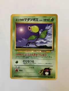 【旧裏】エリカのマダツボミLV.13 ◆ ジム拡張第1弾 リーダーズスタジアム