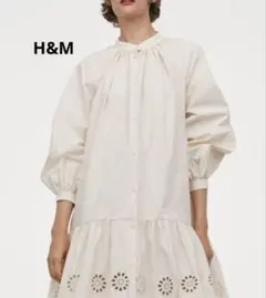 最終価格 美品 H&M 刺繍 レース ワンピース バルーン袖 パフ袖 ベージュS