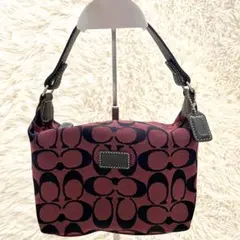 2025年最新】コーチ バニティの人気アイテム - メルカリ