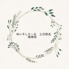 ぬいそしえ〜る　土日発送様専用⭐︎テグス入りオーガンジーリボン 約35〜50mm