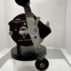 2025年最新】キャスプロ 5000Vの人気アイテム - メルカリ