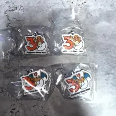 ポケモン 30周年 メタルチャームマスコット ヒトカゲ リザードン