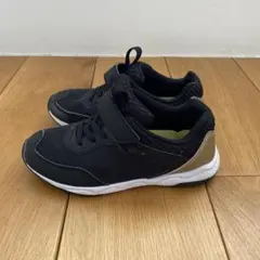 瞬足ブラック　20センチ　green label relaxing 別注アイテム