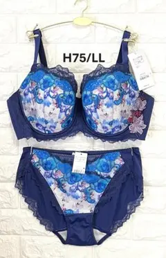 トリンプ　レッドレーベル0120　フローラルの夢　上下セット　ブルーH75/LLのサムネイル