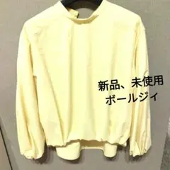 Ballsey】ボールジィ ロングシアーシャツ 36 ミントグリーン キレイめ 