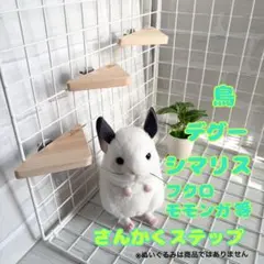 Item thumbnail for item c82edd13-16c9-4b15-a00a-0b6f28955f77