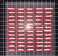 シュプ　アイロンシート