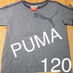 キッズプーマTシャツ