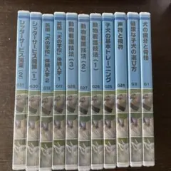 ドッグトレーナープロフェッショナル講座　ヒューマンアカデミー　テキスト DVD 講座説明】ドッグトレーナープロフェッショナル講座