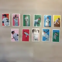 Item thumbnail for item 7fab56ac-b916-4946-9a98-8d86ed80f99d