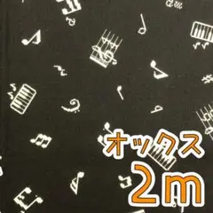 【SALE】オックス2m ピクセルミュージック ドット風 ブラック