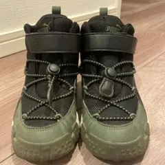 Item thumbnail for item 1e10d8de-5a19-402a-ba61-fdd643634dad