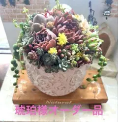 ❤️琥珀様ご確認用になります