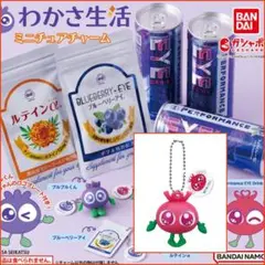 わかさ生活 ミニチュアチャーム(アイアイちゃん)【ミニブック付】