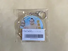 Item thumbnail for item 57cfd051-4046-4bb3-b7a2-6564c5b975ba