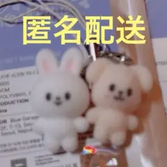 SKZOO SECRET MINI CHARMミニチャーム　リービット＆パピーム