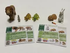 Item thumbnail for item a8569c9b-3c1c-4bf2-8ae7-c0f1f500b34b