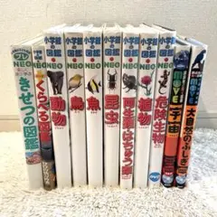 小学館の図鑑NEO 講談社ムーブ 11冊セット　DVD付き　くらべる図鑑付き