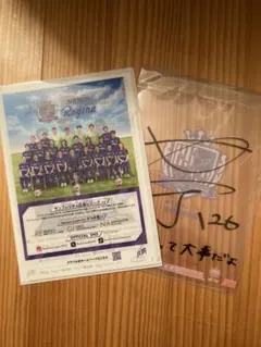 サンフレッチェ広島レジーナ　クリアファイル　立花葉