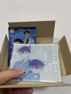 名探偵コナン 一番ラボ D賞 偏光雲母ガラスプレート 灰原哀 - メルカリ 名探偵コナン一番くじD賞偏光雲母ガラスプレート灰原哀