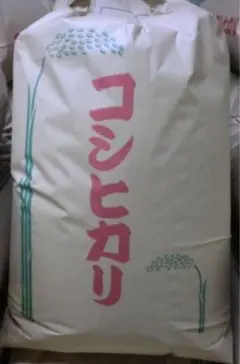 黒部川の名水が育んだコシヒカリ 玄米30kg 7年産 黒部川の名水が育んだコシヒカリ 玄米30kg 7年産 - メルカリ