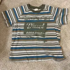 ストライプ コットン Tシャツ