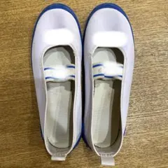 M I様専用　[ムーンスター] 上履き ビニール バレー キッズ　20cm EE