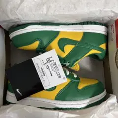 NIKE DUNK LOW SP TD 16cm 新品のサムネイル