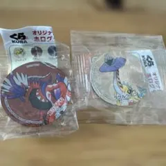 くら寿司×ポケモン　ホロマグネット　2種