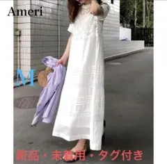 Ameri EMBROIDERY SHEER COTTON DRESSのサムネイル