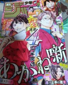 D-gray-man 特別総集編 星野桂♡ 灰ノ饗宴Ⅱ グレイパーティー 付録