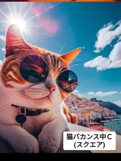 ダイヤモンドアート 30✕40 スクエア(四角型)　猫バカンス中Ｃ