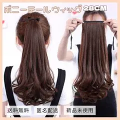 【ラスト1点‼️】ポニーテール ウィッグ 28cm ゆるふわ ダークブラウンのサムネイル