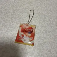 アイスの実　キーホルダー