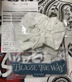 &TEAM BLAZE THE WAY アンコールアプグレ特典2点