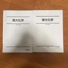 駿台 東大化学 夏期 冬期 2冊セット 2025 2026