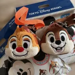 ディズニー キーチェーン　チプデセットのサムネイル
