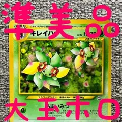 2026年最新】大玉ホロの人気アイテム - メルカリ