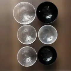 6.5㎝ 7.5㎝ 大きめ ガチャガチャ カプセルトイ 空 ケース セパレート