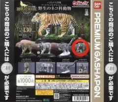 Item thumbnail for item 214b4bdf-63fc-462c-982d-77847f7fe908