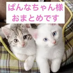 ぱんなちゃん様 リクエスト 10点 まとめ商品