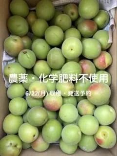 2026年最新】梅干し 10kgの人気アイテム - メルカリ